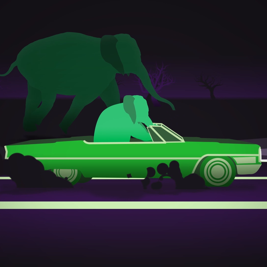 Walkcycles and Psychedelics