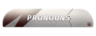 Pronouns Panel from Armed Panels Theme.