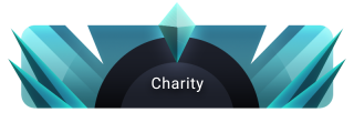 Charity Panel from Diamond Panels Theme.
