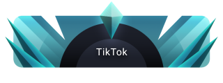 TikTok Panel from Diamond Panels Theme.