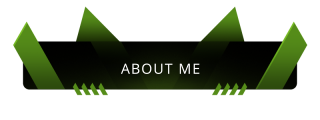 About-Me Panel from Elite Panels Theme.