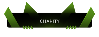 Charity Panel from Elite Panels Theme.