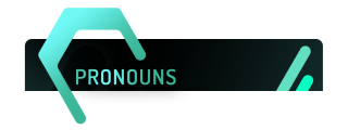 Pronouns Panel from Hex Panels Theme.