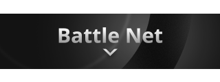 Battle-Net Panel from Ipsum Panels Theme.