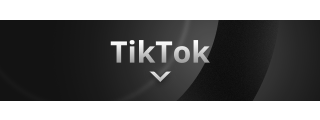 TikTok Panel from Ipsum Panels Theme.