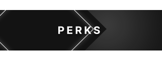 Perks Panel from Lorem Panels Theme.