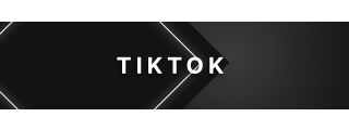 TikTok Panel from Lorem Panels Theme.