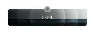 TikTok Panel from Pathway Panels Theme.
