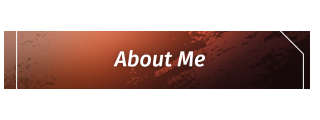 About-Me Panel from Splatter Panels Theme.