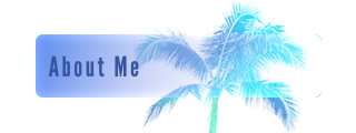About-Me Panel from Tropics Panels Theme.
